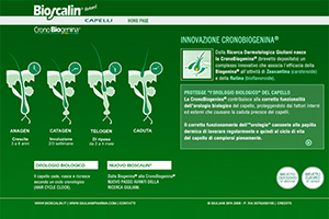 Illustrazione per mostrare le fasi del ciclo di vita dei capelli sito web Bioscalin retard Capelli con Cronobiogenina